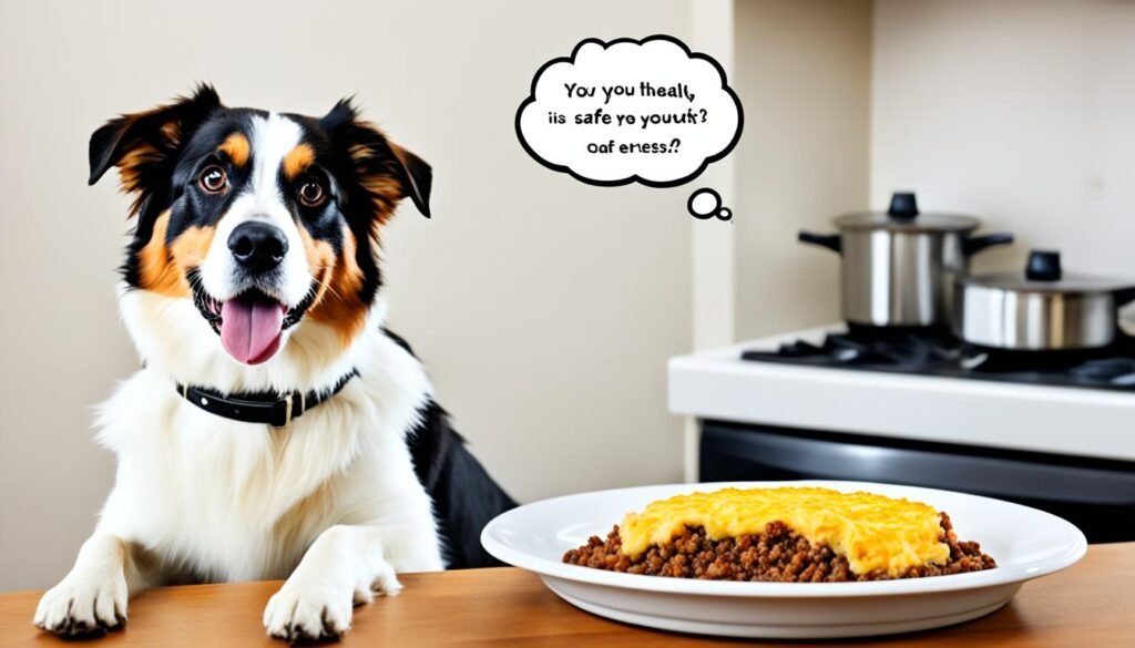 expert advice on feeding cottage pie to dogs