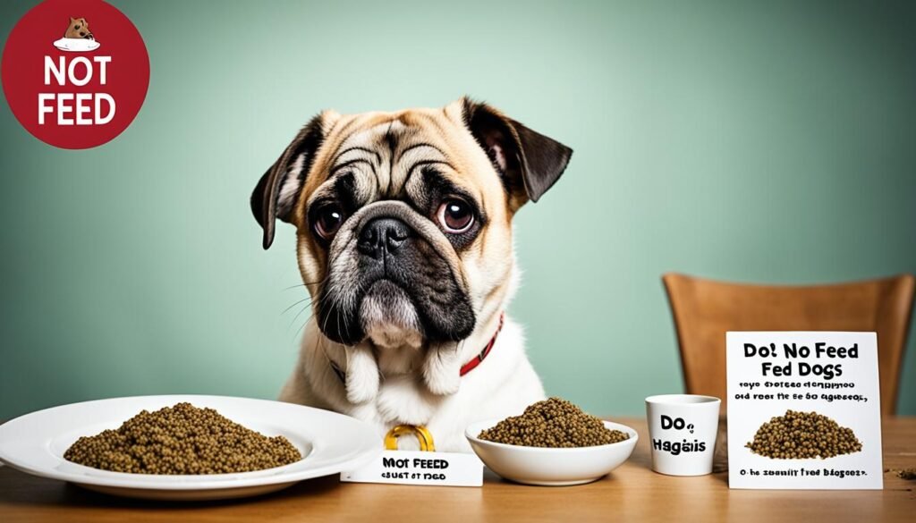 risks of feeding haggis to dogs